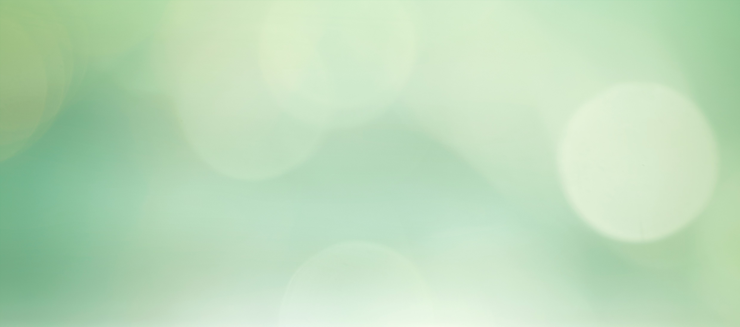 Abstract blurred greenery leaves panoramic background